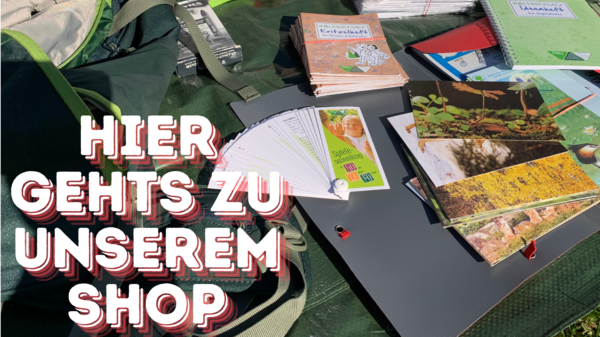 Inhalte eines Wanderrucksacks liegen auf einer Wiese